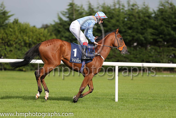 8th Battle Pride ( 1 ) - light blue, orange epaulettes ( F M Berry ) : Trainer - Richard Hannon