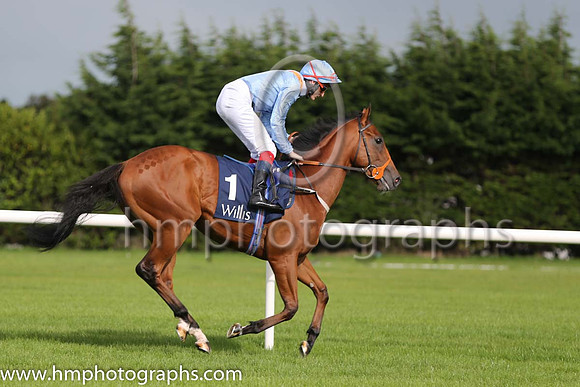 8th Battle Pride ( 1 ) - light blue, orange epaulettes ( F M Berry ) : Trainer - Richard Hannon
