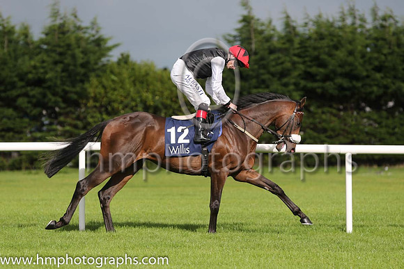 2nd True Solita ( 12 ) - black, white sleeves ( Pat Smullen ) : Trainer - D K Weld