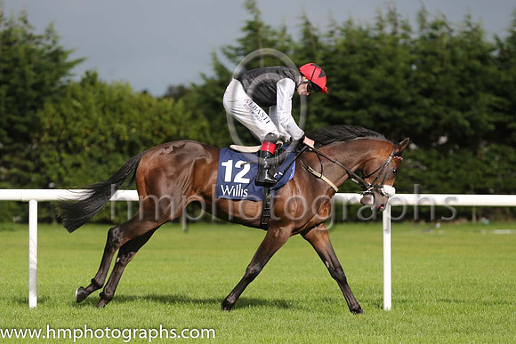 2nd True Solita ( 12 ) - black, white sleeves ( Pat Smullen ) : Trainer - D K Weld