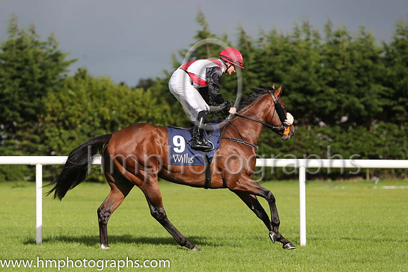 4th Rockaway Valley ( 9 ) - white, red cross sashes ( Shane Foley ) : Trainer - Mrs John Harrington