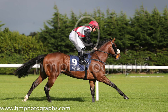 4th Rockaway Valley ( 9 ) - white, red cross sashes ( Shane Foley ) : Trainer - Mrs John Harrington