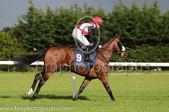 4th Rockaway Valley ( 9 ) - white, red cross sashes ( Shane Foley ) : Trainer - Mrs John Harrington