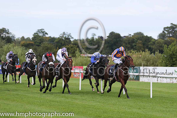 1st Johannes Vermeer ( 4 ) - royal blue, orange disc ( Joseph O'Brien ) : Trainer - A P O'Brien