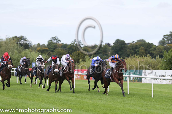 1st Johannes Vermeer ( 4 ) - royal blue, orange disc ( Joseph O'Brien ) : Trainer - A P O'Brien