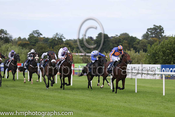1st Johannes Vermeer ( 4 ) - royal blue, orange disc ( Joseph O'Brien ) : Trainer - A P O'Brien