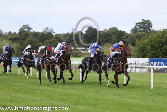 1st Johannes Vermeer ( 4 ) - royal blue, orange disc ( Joseph O'Brien ) : Trainer - A P O'Brien