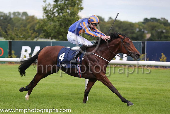 1st Johannes Vermeer ( 4 ) - royal blue, orange disc ( Joseph O'Brien ) : Trainer - A P O'Brien