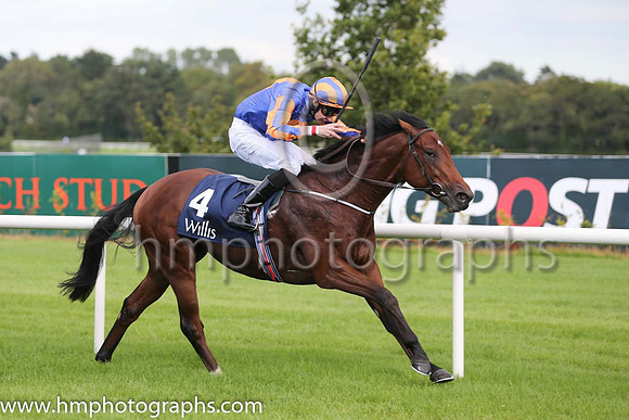 1st Johannes Vermeer ( 4 ) - royal blue, orange disc ( Joseph O'Brien ) : Trainer - A P O'Brien