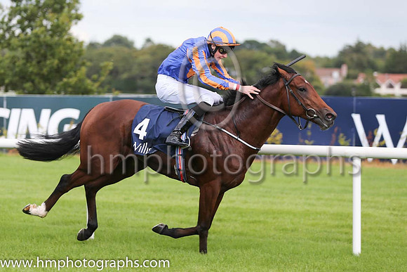 1st Johannes Vermeer ( 4 ) - royal blue, orange disc ( Joseph O'Brien ) : Trainer - A P O'Brien