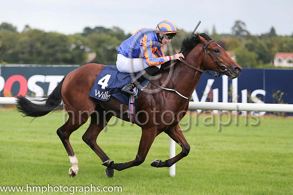 1st Johannes Vermeer ( 4 ) - royal blue, orange disc ( Joseph O'Brien ) : Trainer - A P O'Brien