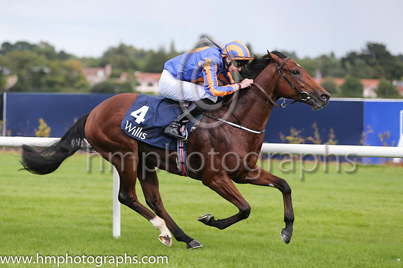 1st Johannes Vermeer ( 4 ) - royal blue, orange disc ( Joseph O'Brien ) : Trainer - A P O'Brien