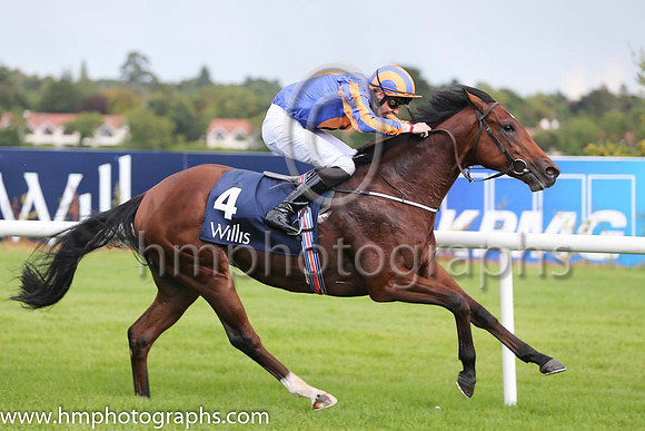 1st Johannes Vermeer ( 4 ) - royal blue, orange disc ( Joseph O'Brien ) : Trainer - A P O'Brien