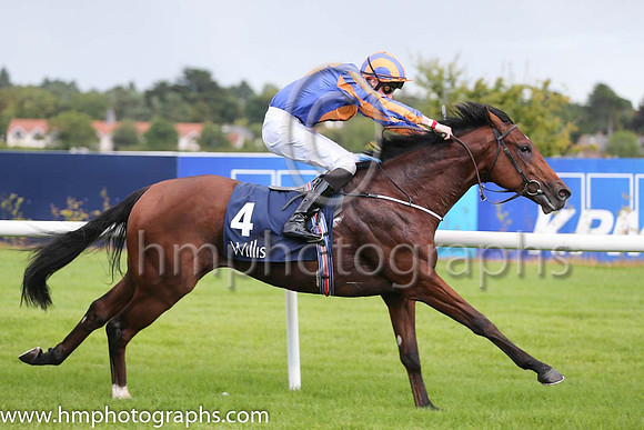 1st Johannes Vermeer ( 4 ) - royal blue, orange disc ( Joseph O'Brien ) : Trainer - A P O'Brien