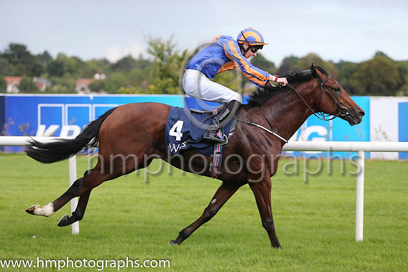 1st Johannes Vermeer ( 4 ) - royal blue, orange disc ( Joseph O'Brien ) : Trainer - A P O'Brien