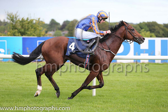 1st Johannes Vermeer ( 4 ) - royal blue, orange disc ( Joseph O'Brien ) : Trainer - A P O'Brien