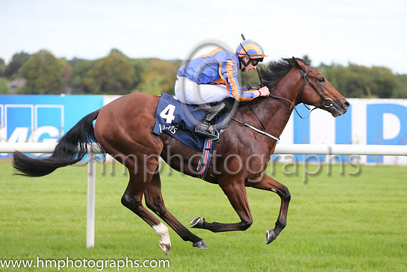 1st Johannes Vermeer ( 4 ) - royal blue, orange disc ( Joseph O'Brien ) : Trainer - A P O'Brien