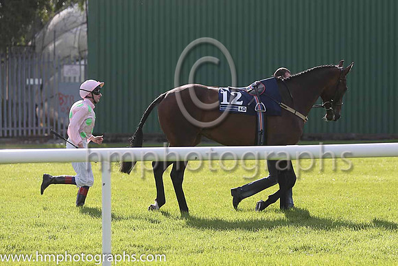14th Renneti ( 12 ) - pink, light green spots ( Declan McDonogh ) : Trainer - W P Mullins