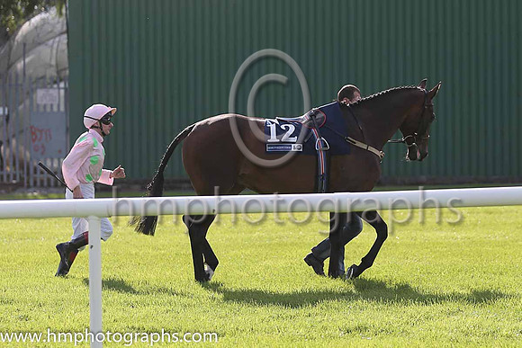 14th Renneti ( 12 ) - pink, light green spots ( Declan McDonogh ) : Trainer - W P Mullins