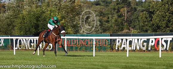 1st Silwana ( 3 ) - green, red epaulettes ( Pat Smullen ) : Trainer - D K Weld