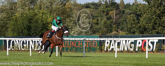 1st Silwana ( 3 ) - green, red epaulettes ( Pat Smullen ) : Trainer - D K Weld