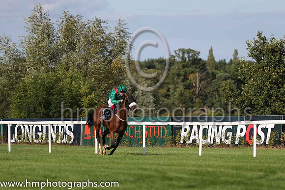 1st Silwana ( 3 ) - green, red epaulettes ( Pat Smullen ) : Trainer - D K Weld