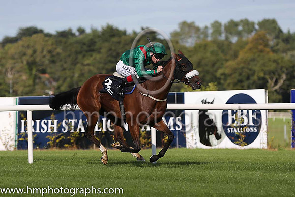 1st Silwana ( 3 ) - green, red epaulettes ( Pat Smullen ) : Trainer - D K Weld