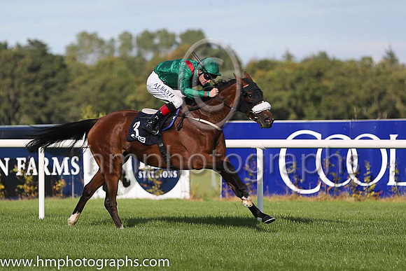 1st Silwana ( 3 ) - green, red epaulettes ( Pat Smullen ) : Trainer - D K Weld