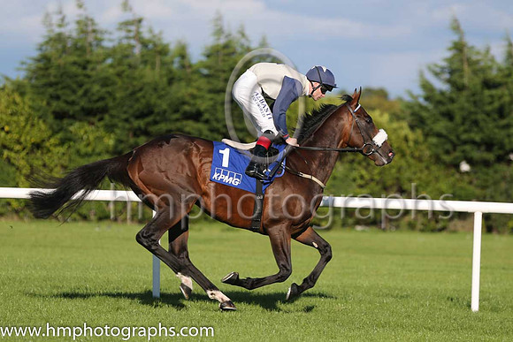 1st Fascinating Rock ( 1 ) - beige, dark blue cross ( Pat Smullen ) : Trainer - D K Weld