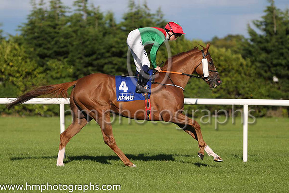 2nd Panama Hat ( 4 ) - emerald green, red chevron ( Chris Hayes ) : Trainer - A Oliver