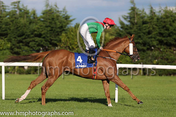2nd Panama Hat ( 4 ) - emerald green, red chevron ( Chris Hayes ) : Trainer - A Oliver