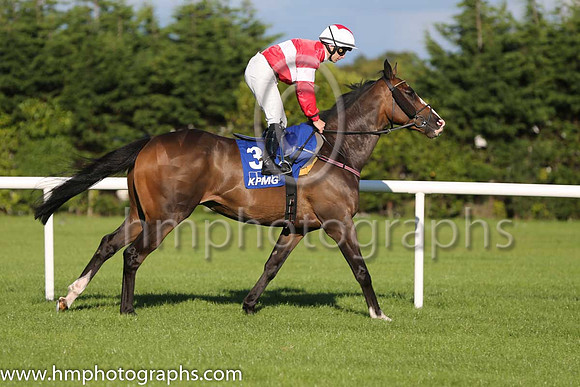 4th Elleval ( 3 ) - red, white hoop ( Wayne Lordan ) : Trainer - David Marnane