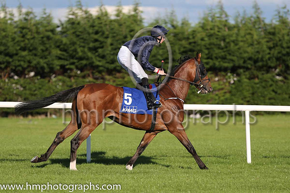 3rd John F Kennedy ( 5 ) - dark blue ( Joseph O'Brien ) : Trainer - A P O'Brien