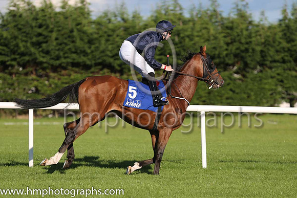 3rd John F Kennedy ( 5 ) - dark blue ( Joseph O'Brien ) : Trainer - A P O'Brien