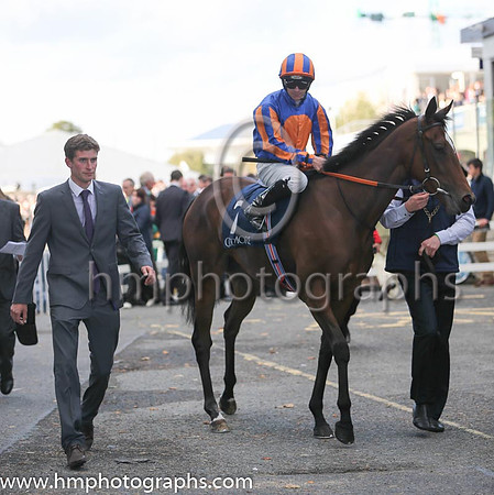 1st Legatissimo ( 7 ) - royal blue, orange disc ( Wayne Lordan ) : Trainer - David Wachman