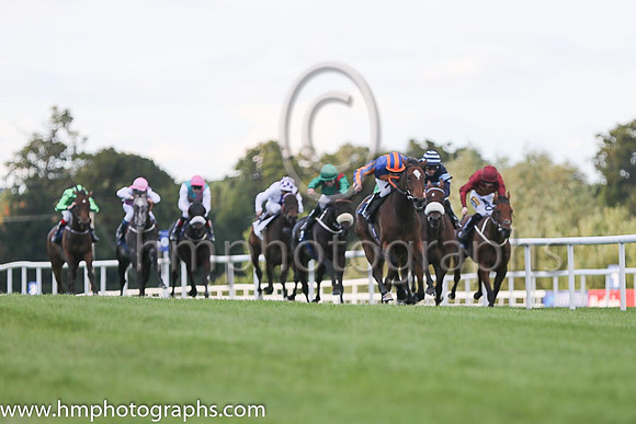 1st Legatissimo ( 7 ) - royal blue, orange disc ( Wayne Lordan ) : Trainer - David Wachman