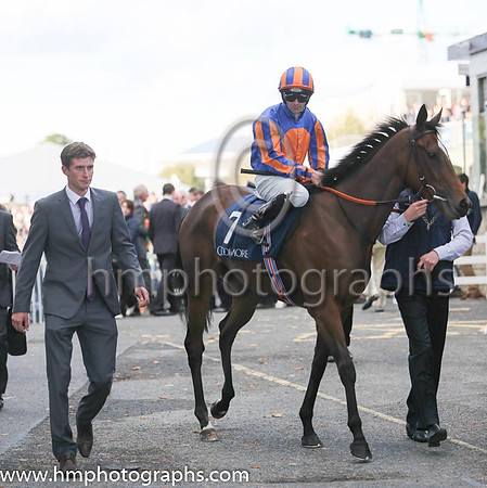 1st Legatissimo ( 7 ) - royal blue, orange disc ( Wayne Lordan ) : Trainer - David Wachman