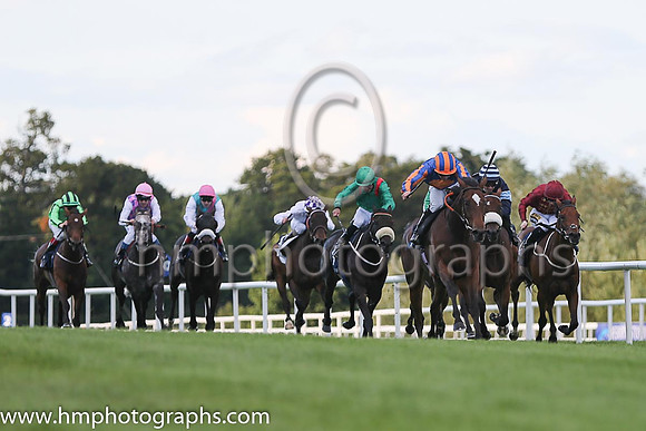 1st Legatissimo ( 7 ) - royal blue, orange disc ( Wayne Lordan ) : Trainer - David Wachman