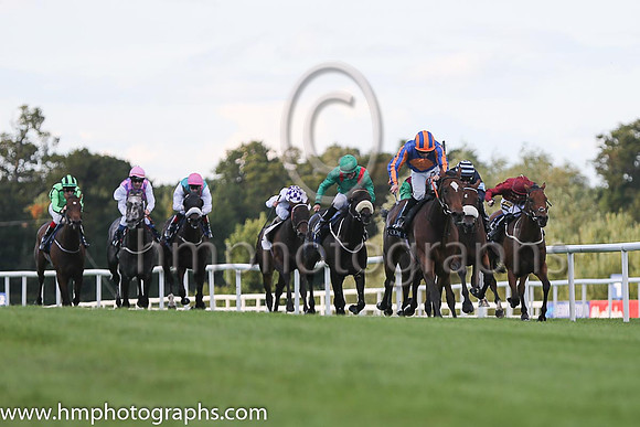 1st Legatissimo ( 7 ) - royal blue, orange disc ( Wayne Lordan ) : Trainer - David Wachman