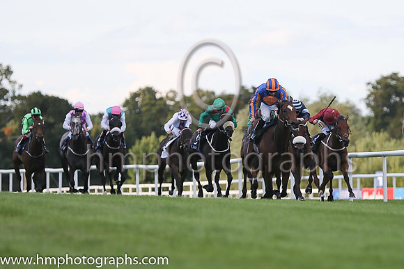 1st Legatissimo ( 7 ) - royal blue, orange disc ( Wayne Lordan ) : Trainer - David Wachman