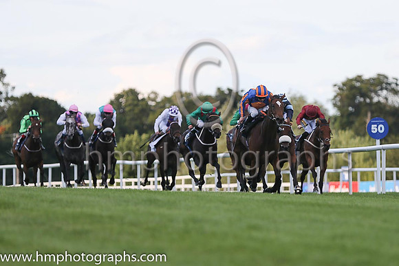 1st Legatissimo ( 7 ) - royal blue, orange disc ( Wayne Lordan ) : Trainer - David Wachman