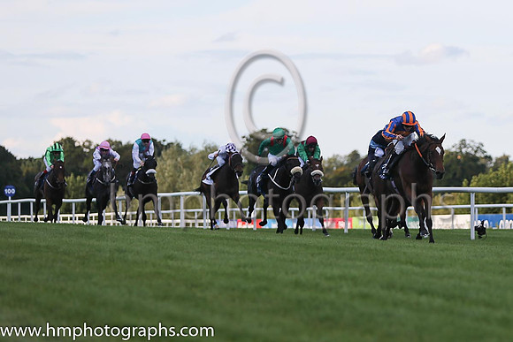 1st Legatissimo ( 7 ) - royal blue, orange disc ( Wayne Lordan ) : Trainer - David Wachman
