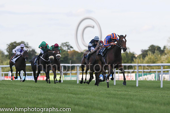 1st Legatissimo ( 7 ) - royal blue, orange disc ( Wayne Lordan ) : Trainer - David Wachman