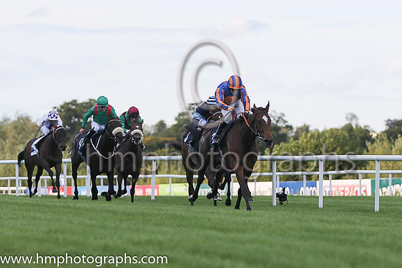 1st Legatissimo ( 7 ) - royal blue, orange disc ( Wayne Lordan ) : Trainer - David Wachman
