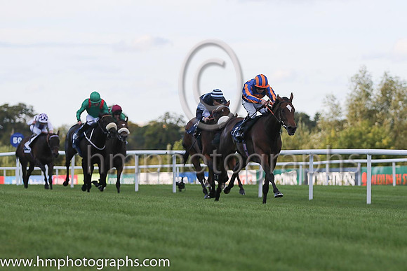 1st Legatissimo ( 7 ) - royal blue, orange disc ( Wayne Lordan ) : Trainer - David Wachman