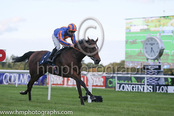 1st Legatissimo ( 7 ) - royal blue, orange disc ( Wayne Lordan ) : Trainer - David Wachman
