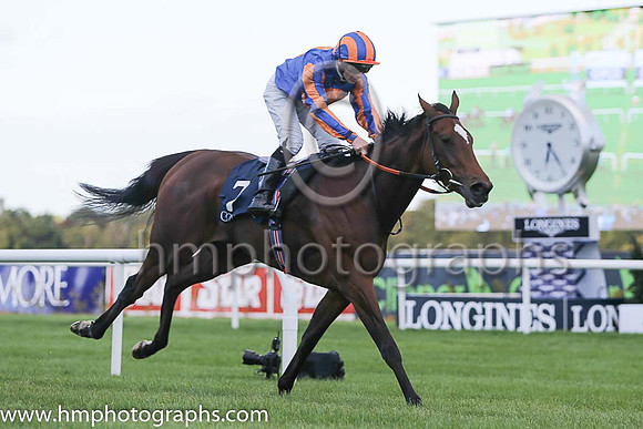 1st Legatissimo ( 7 ) - royal blue, orange disc ( Wayne Lordan ) : Trainer - David Wachman