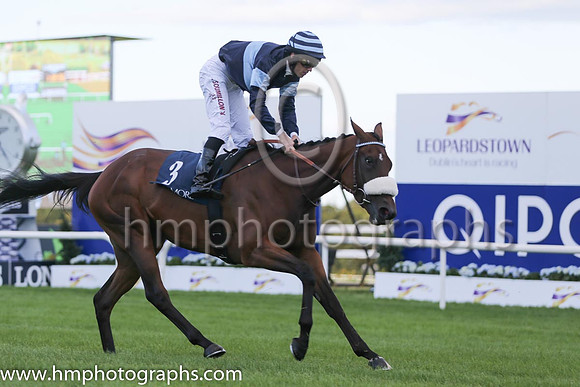 2nd Cladocera ( 3 ) - dark blue, light blue hoop ( Christophe Soumillon ) : Trainer - A De Royer-Dupre