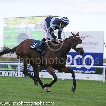 2nd Cladocera ( 3 ) - dark blue, light blue hoop ( Christophe Soumillon ) : Trainer - A De Royer-Dupre