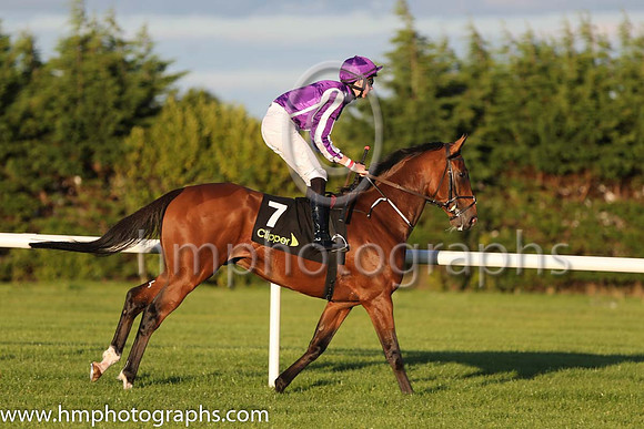 4th Sir Isaac Newton ( 7 ) - purple, white seams ( Joseph O'Brien ) : Trainer - A P O'Brien